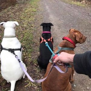 Meet your Posher, Glenn